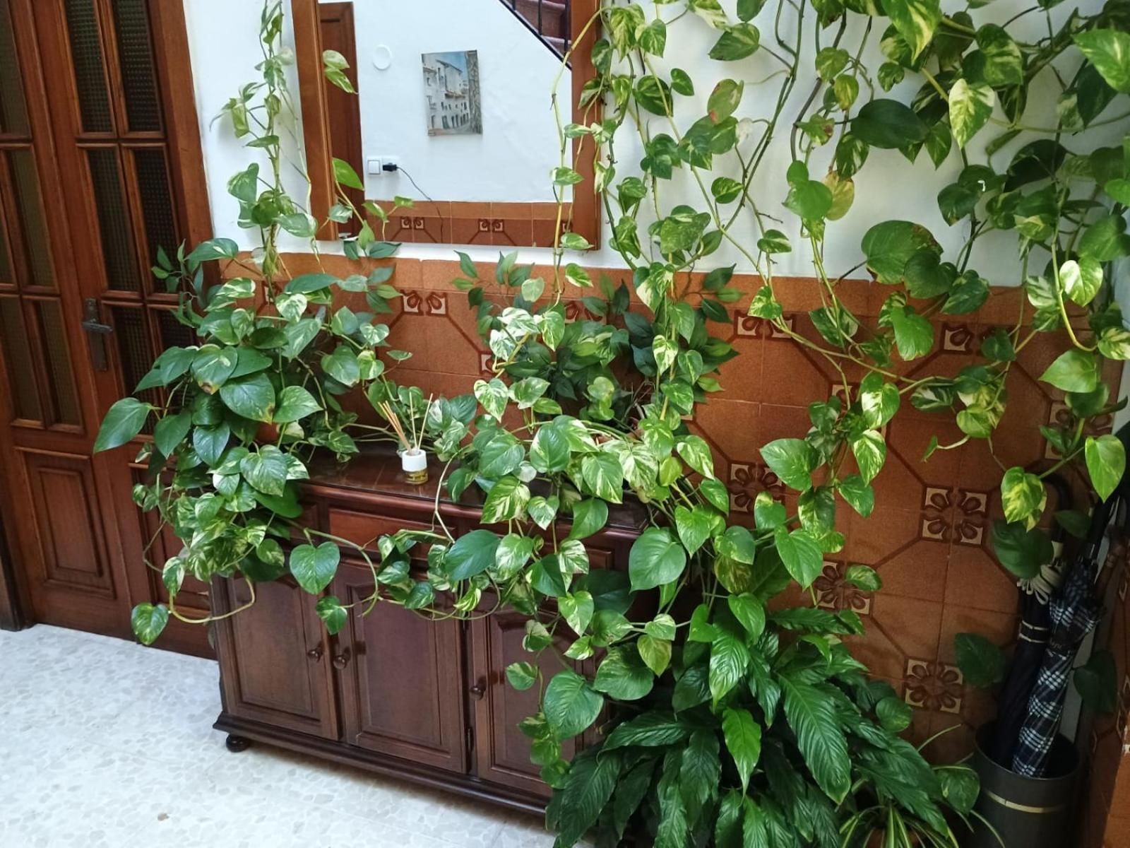 Casa Matbel Appartement Córdoba Buitenkant foto